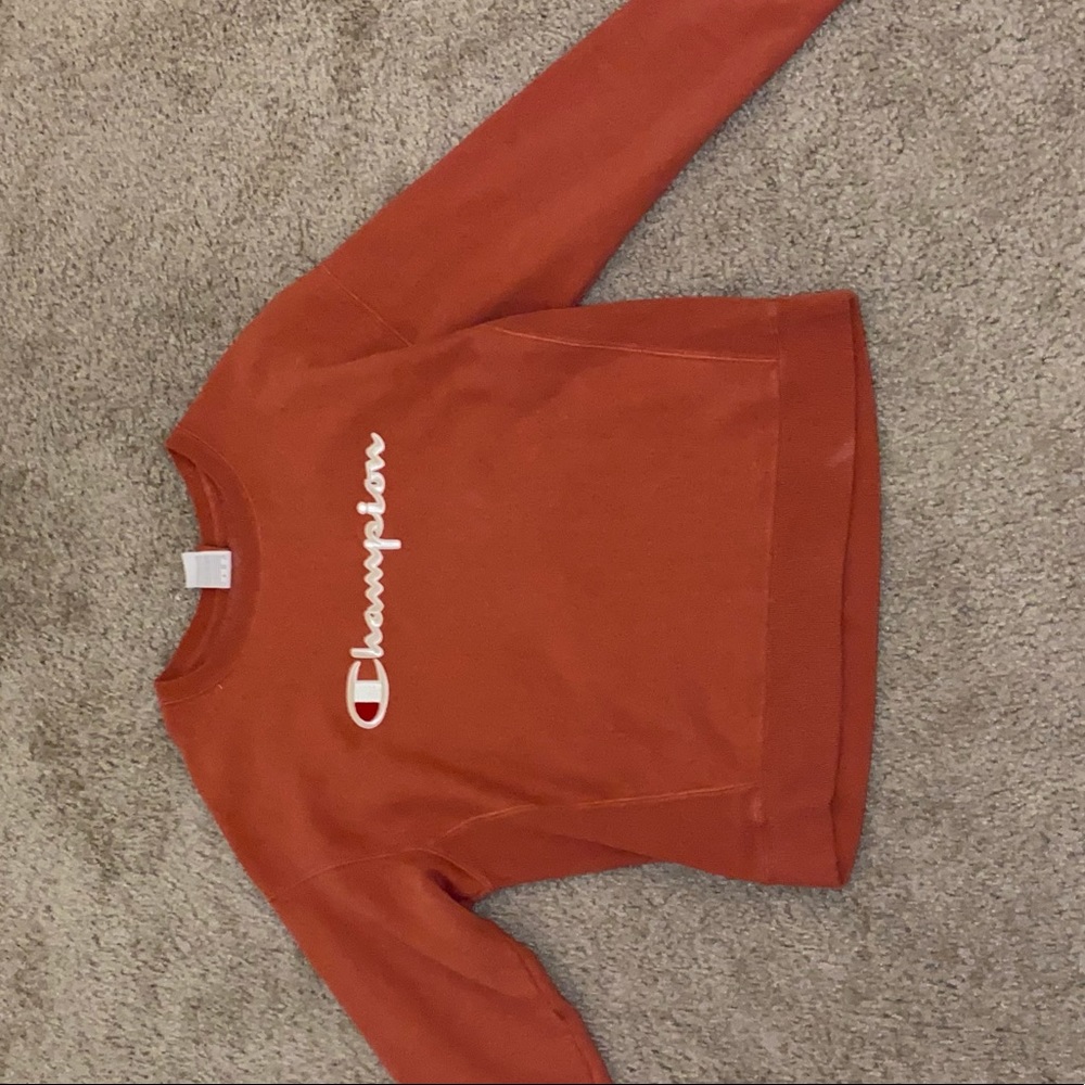 Champion sweater